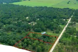 21360 SE 71st Pl, Morriston, FL 32668 - Photo 1