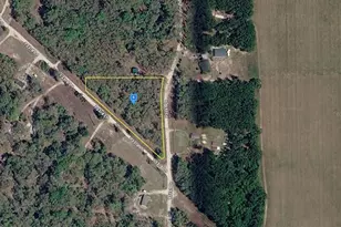 22001 131st Dr, O'Brien, FL 32071 - Photo 1