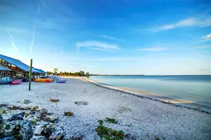 3271 Mangrove Point, Ruskin, FL 33570 - Photo 68