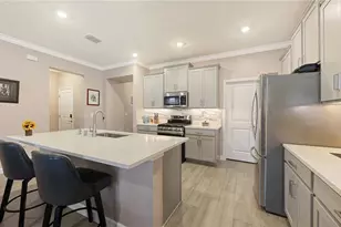 11719 Lilac Pearl Ln, Parrish, FL 34219 - Photo 8