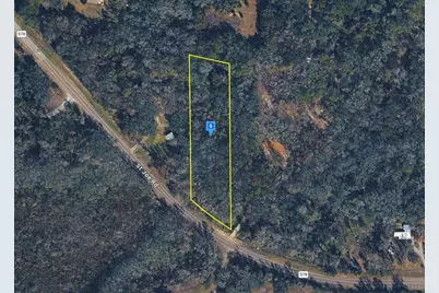 33901 St Joe Road, Dade City, FL 33525 - Photo 1