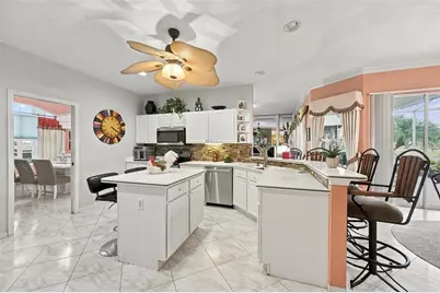 2223 Platinum Drive, Sun City Center, FL 33573 - Photo 46