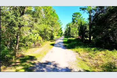 Tbd NE 66th Avenue, Citra, FL 32113 - Photo 4