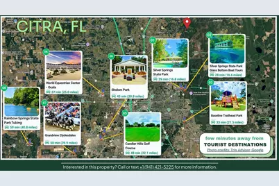 Tbd NE 66th Avenue, Citra, FL 32113 - Photo 8