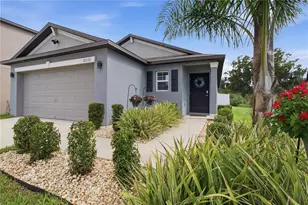 10331 Blue Plume Ct, Riverview, FL 33578 - Photo 1