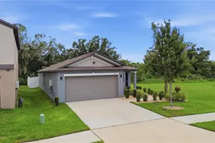 10331 Blue Plume Ct, Riverview, FL 33578 - Photo 52