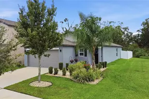 10331 Blue Plume Ct, Riverview, FL 33578 - Photo 54