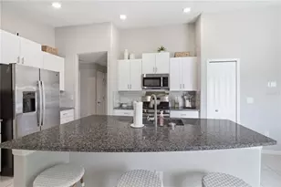 10331 Blue Plume Ct, Riverview, FL 33578 - Photo 8