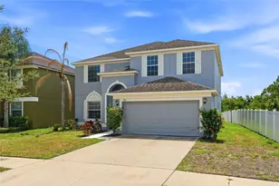 909 Meadow Glade Dr, Ruskin, FL 33570 - Photo 54