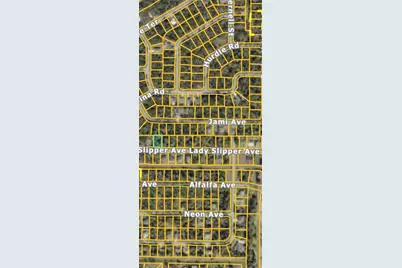 Lady Slipper Avenue, North Port, FL 34291 - Photo 2
