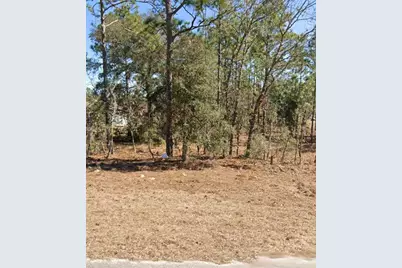 Ne 150th Avenue, Williston, FL 32696 - Photo 4