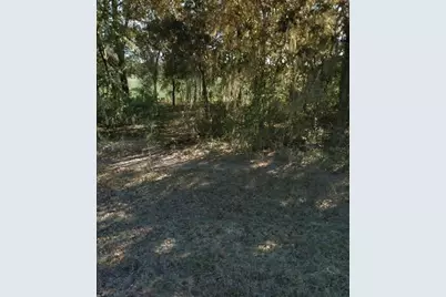 Ne 5th Street, Williston, FL 32696 - Photo 4
