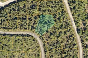 Snowdrift Terrace, North Port, FL 34288 - Photo 1