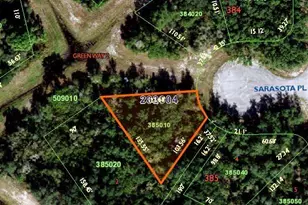 506 Sarasota Pl, Poinciana, FL 34759 - Photo 1