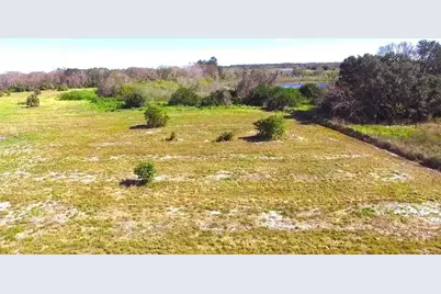 9965 S US Highway 37, Mulberry, FL 33860 - Photo 2