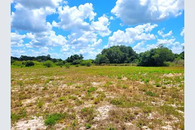 9945 S US Hwy 37, Mulberry, FL 33860 - Photo 1