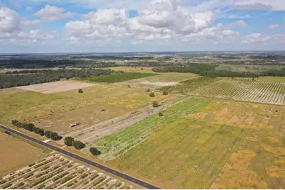 Lot 13 Lake Buffum Road S, Fort Meade, FL 33841 - Photo 4