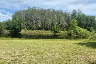 4151 Boggy Creek Rd, Kissimmee, FL 34744 - Photo 4