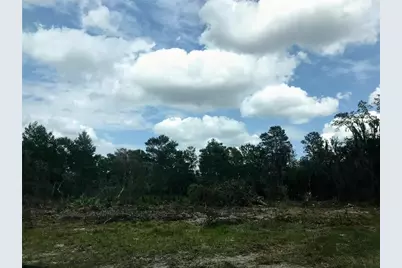 0 80 Foot Road, Bartow, FL 33830 - Photo 4