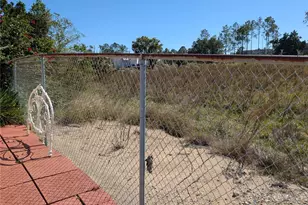 143 Pansy St, Davenport, FL 33837 - Photo 44