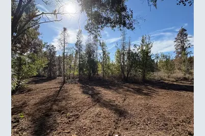 Hammock Loop, Polk City, FL 33868 - Photo 6