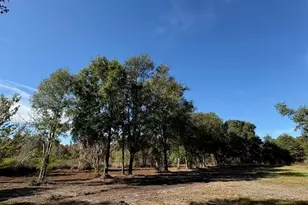 Hammock Loop, Polk City, FL 33868 - Photo 1