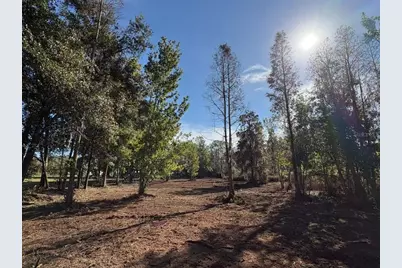 Hammock Loop, Polk City, FL 33868 - Photo 4
