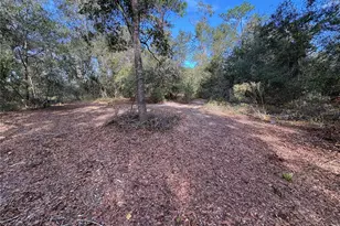 10636 Pathfinder Trail, Lakeland, FL 33809 - Photo 22