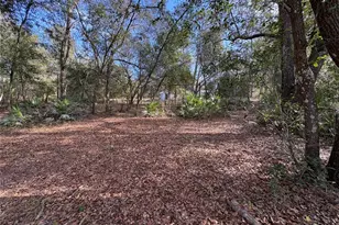 10636 Pathfinder Trail, Lakeland, FL 33809 - Photo 16