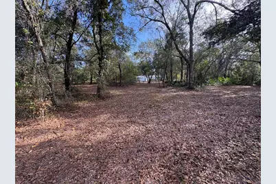 10636 Pathfinder Trail, Lakeland, FL 33809 - Photo 20