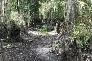 49 Fenny Bosk Trail, Venus, FL 33960 - Photo 24