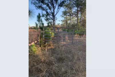 49 Fenny Bosk Trail, Venus, FL 33960 - Photo 16