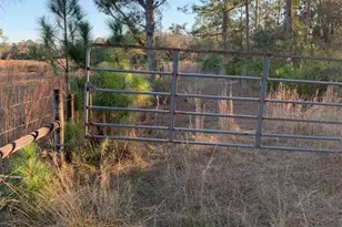 49 Fenny Bosk Trail, Venus, FL 33960 - Photo 16