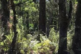 49 Fenny Bosk Trail, Venus, FL 33960 - Photo 30