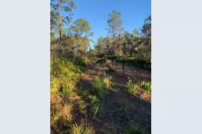 49 Fenny Bosk Trail, Venus, FL 33960 - Photo 12