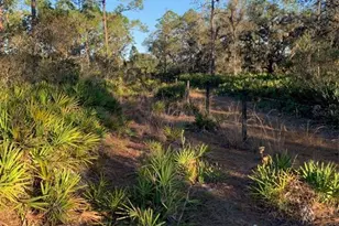 49 Fenny Bosk Trail, Venus, FL 33960 - Photo 12