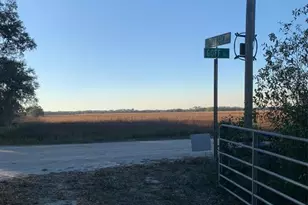 49 Fenny Bosk Trail, Venus, FL 33960 - Photo 2