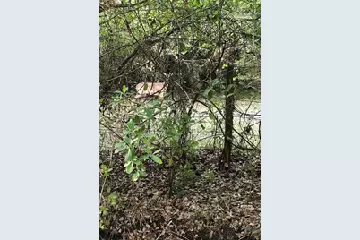 49 Fenny Bosk Trail, Venus, FL 33960 - Photo 34