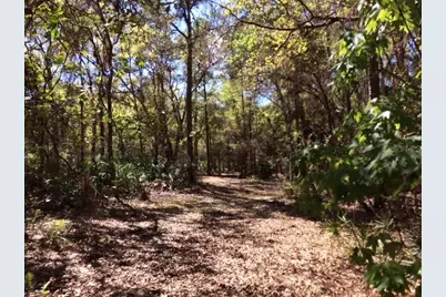 49 Fenny Bosk Trail, Venus, FL 33960 - Photo 40