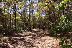 49 Fenny Bosk Trail, Venus, FL 33960 - Photo 40