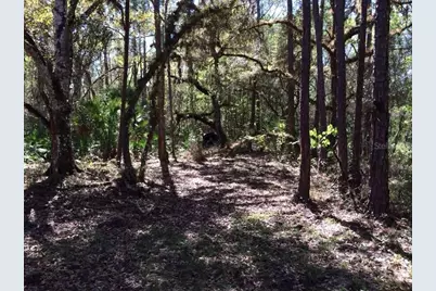 49 Fenny Bosk Trail, Venus, FL 33960 - Photo 36