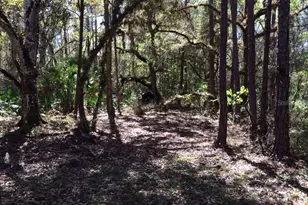 49 Fenny Bosk Trail, Venus, FL 33960 - Photo 36