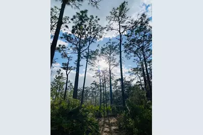 49 Fenny Bosk Trail, Venus, FL 33960 - Photo 38