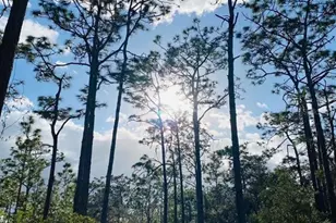 49 Fenny Bosk Trail, Venus, FL 33960 - Photo 38