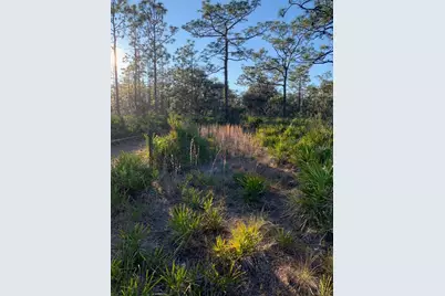 49 Fenny Bosk Trail, Venus, FL 33960 - Photo 10