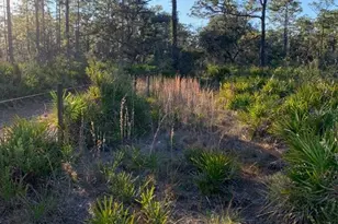 49 Fenny Bosk Trail, Venus, FL 33960 - Photo 10