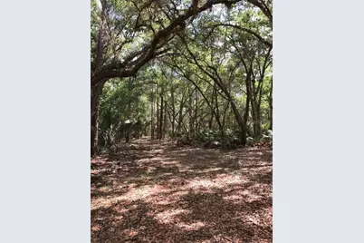 49 Fenny Bosk Trail, Venus, FL 33960 - Photo 32