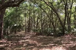 49 Fenny Bosk Trail, Venus, FL 33960 - Photo 32