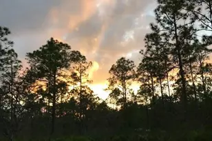 49 Fenny Bosk Trail, Venus, FL 33960 - Photo 26