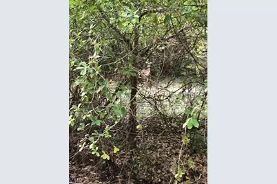 49 Fenny Bosk Trail, Venus, FL 33960 - Photo 28